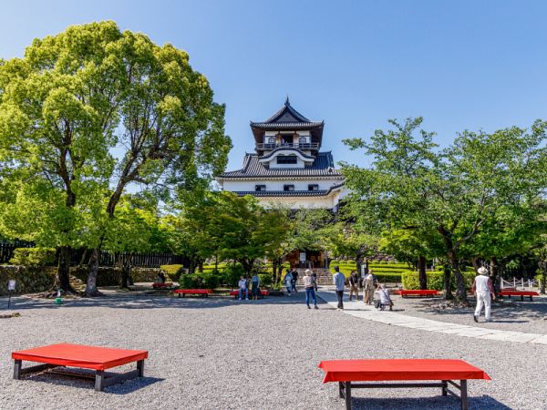 青空の下、庭園の木々の向こうにそびえ立つ国宝・犬山城の天守。手前には赤い野点傘の台が置かれている。