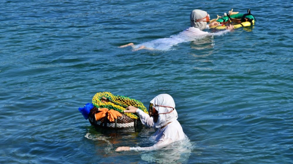 白い磯着を身にまとい、志摩の海で素潜り漁を行う2人の海女