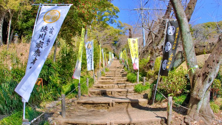 真っ青な空の下、徳川家の葵の紋が入った幟が両脇に立ち並ぶ、丸太の段差で整備された広い上り坂。