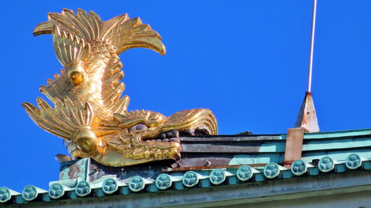 名古屋城天守閣の屋根の上で、青空に向かって黄金に輝く金シャチのアップ写真。