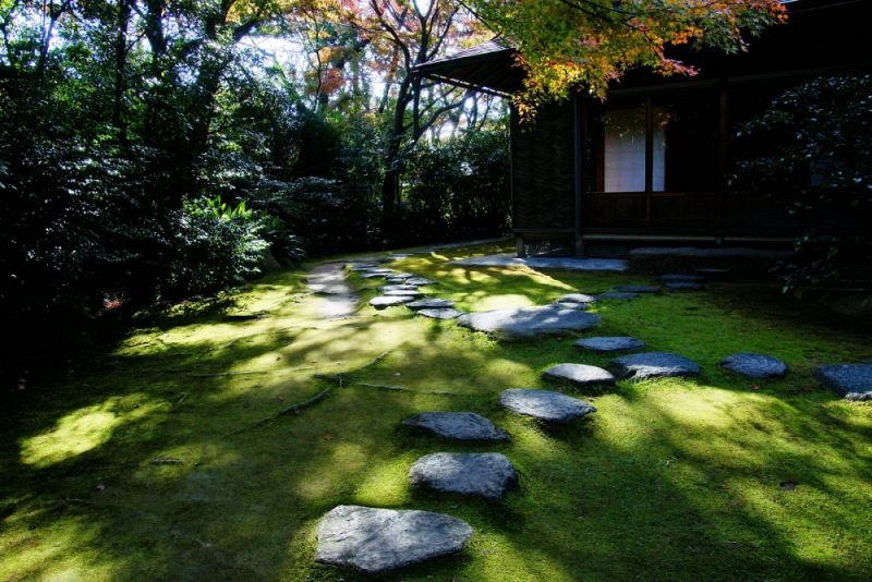 木漏れ日が差し込む有楽苑の苔庭と、その奥に佇む木造の茶室。