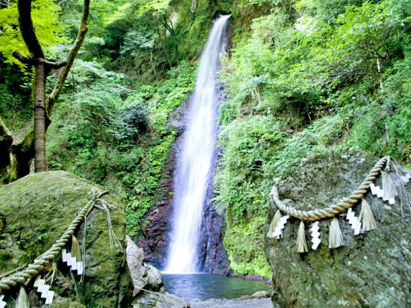 生い茂る木々の間を、垂直に流れ落ちる養老の滝。滝の手前には注連縄(しめなわ)が巻かれた大きな岩があり、厳かな雰囲気が漂う新緑の風景。