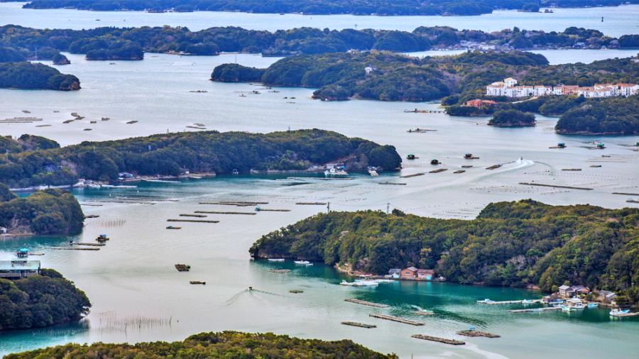 三重県志摩市、英虞湾のリアス式海岸と海面に並ぶ真珠筏の俯瞰風景