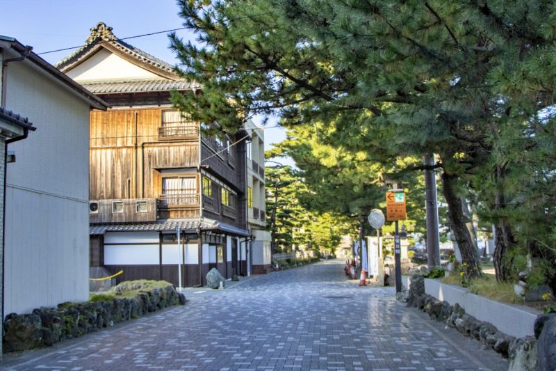 松の木が並び、歴史を感じる木造建築の旅館が建つ石畳の参道。